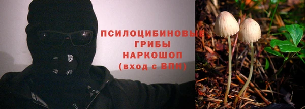 молекула духа Балабаново