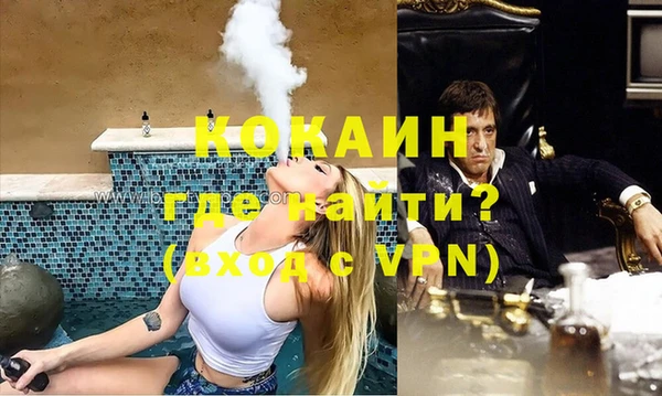 стаф Арсеньев