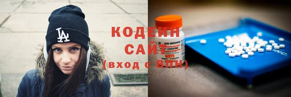 стаф Арсеньев