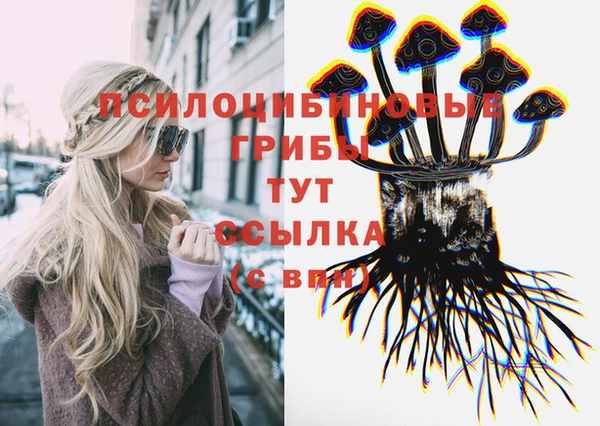 прущая мука Аркадак