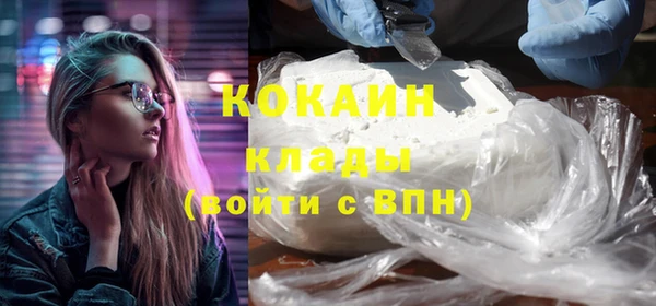 стаф Арсеньев